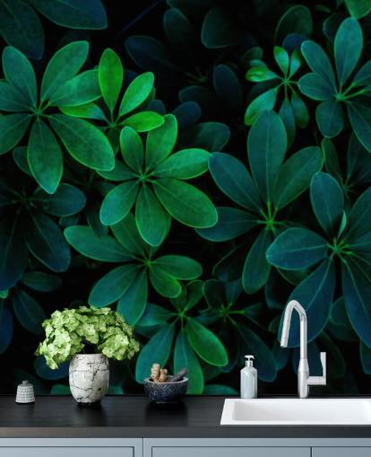 Papel pintado de hojas tropicales verdes fotografiadas