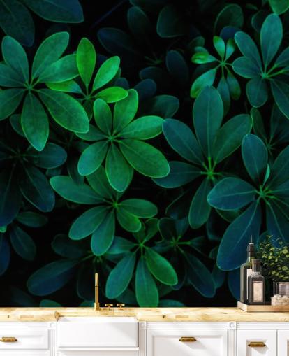 Papier peint feuilles tropicales vertes photographiées