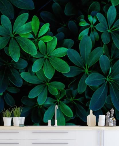 Papel pintado de hojas tropicales verdes fotografiadas