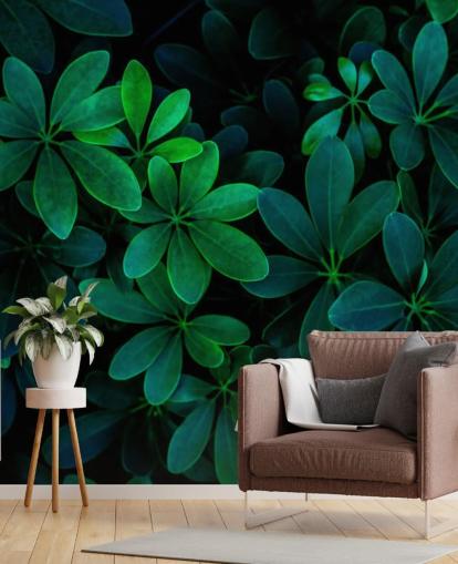 Papel pintado de hojas tropicales verdes fotografiadas