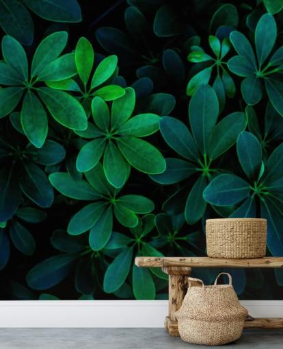 Papel pintado de hojas tropicales verdes fotografiadas Papel pintado de hojas tropicales verdes fotografiadas