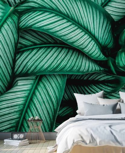 Papel pintado Hojas verdes con rayas blancas Papel pintado Hojas verdes con rayas blancas