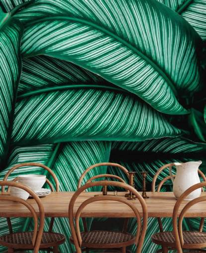 Papel pintado Hojas verdes con rayas blancas