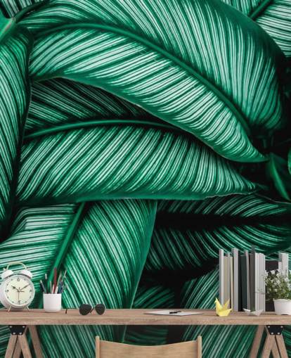 Folhas verdes com listras brancas papel de parede Folhas verdes com listras brancas papel de parede