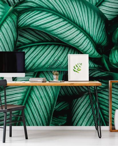 Green Leaves with White Stripes Wallpaper Green Leaves with White Stripes Wallpaper