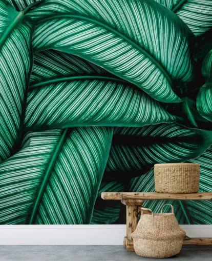 Papel pintado Hojas verdes con rayas blancas Papel pintado Hojas verdes con rayas blancas