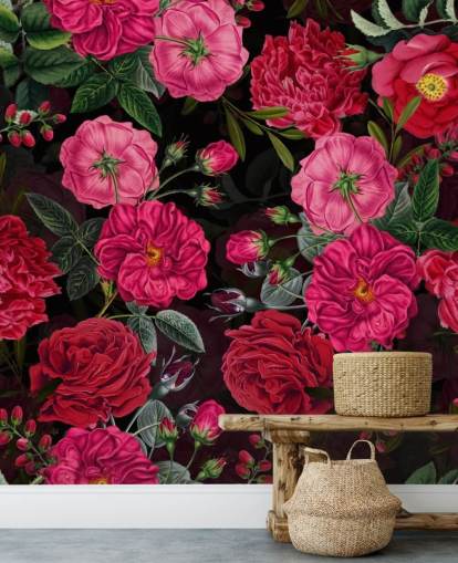 Deep Pink Roses with Green Leaves on Black Background Wallpaper Deep Pink Roses with Green Leaves on Black Background Wallpaper