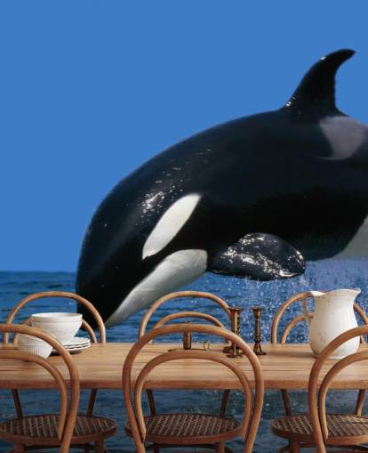 Orca Hintergrundbild