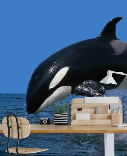 Orca Hintergrundbild