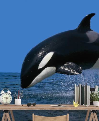 Orca Baggrund Orca Baggrund