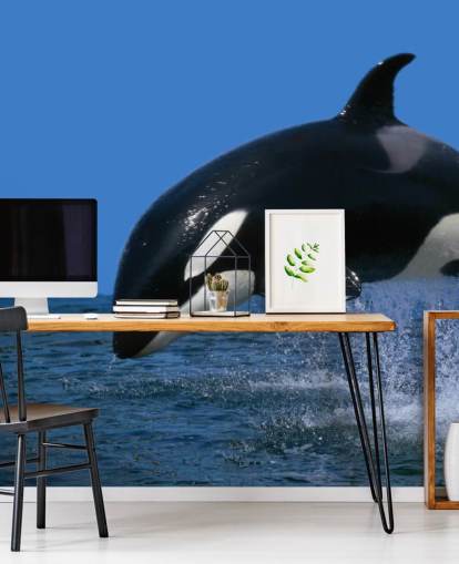 Papier peint Orca