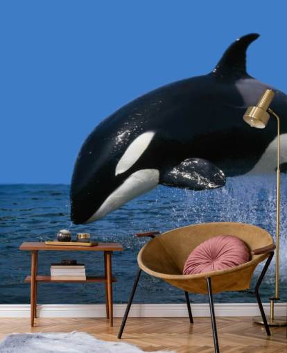 Orca Hintergrundbild