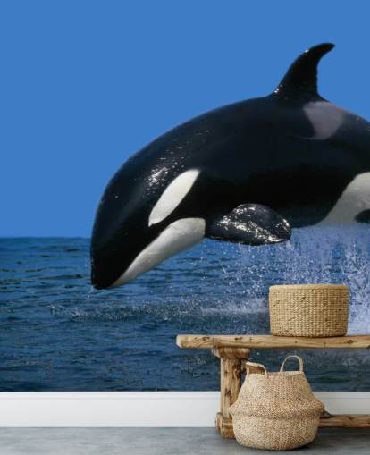 Orca Wallpaper