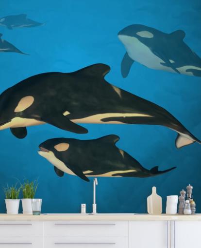 Orca-Whale-Familie Fototapete