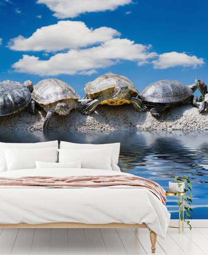 Mural de pared Tortugas escalofriantes en una roca