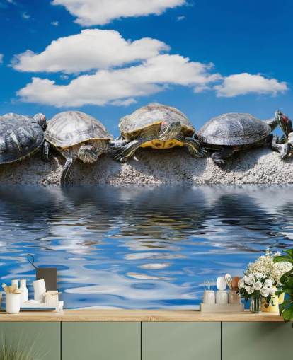 Mural de pared Tortugas escalofriantes en una roca