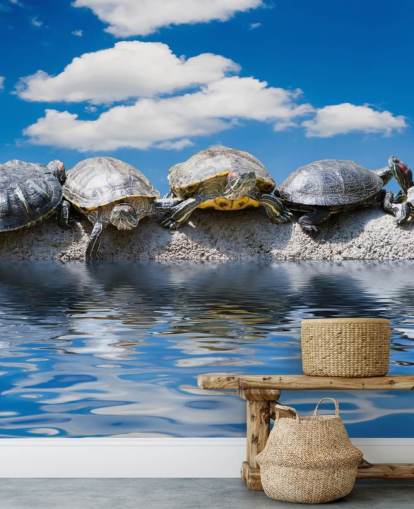 Mural de pared Tortugas escalofriantes en una roca Mural de pared Tortugas escalofriantes en una roca
