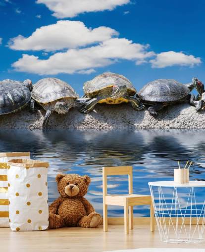 Schildkröten chillen auf einer Felswand Fototapete Schildkröten chillen auf einer Felswand Fototapete
