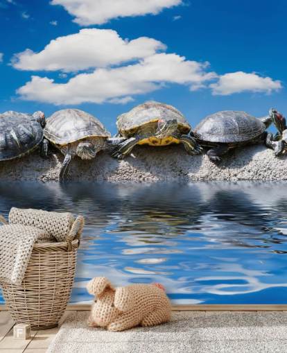 Schildkröten chillen auf einer Felswand Fototapete Schildkröten chillen auf einer Felswand Fototapete