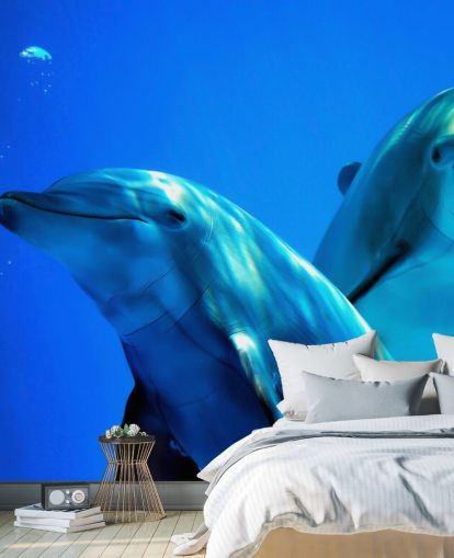 Two Dolphin Friends Smiling at Camera Wall Mural