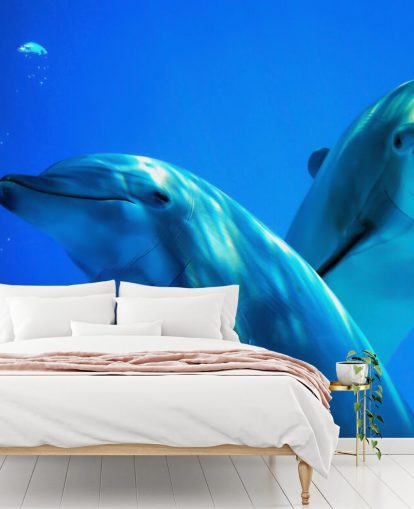 Two Dolphin Friends Smiling at Camera Wall Mural Two Dolphin Friends Smiling at Camera Wall Mural