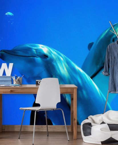 Two Dolphin Friends Smiling at Camera Wall Mural