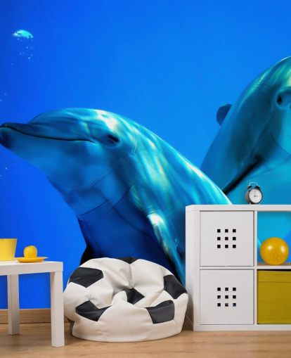 Två Dolphin vänner leende på kamerans väggmålning Två Dolphin vänner leende på kamerans väggmålning