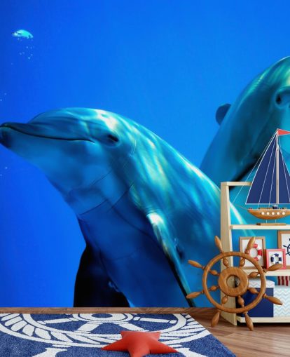 To delfinvenner smilende og kamera vægmaleri To delfinvenner smilende og kamera vægmaleri