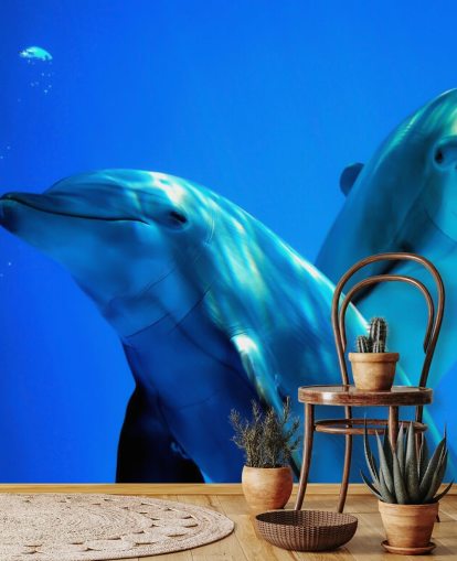 Two Dolphin Friends Smiling at Camera Wall Mural
