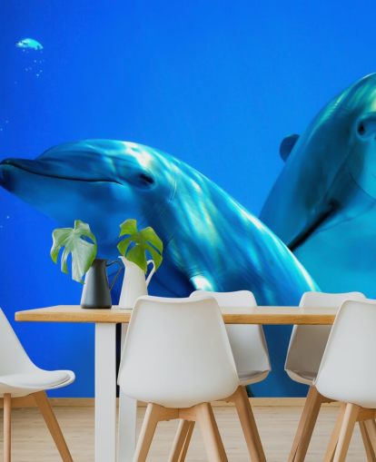 Mural de pared Dos amigos delfines sonriendo a cámara