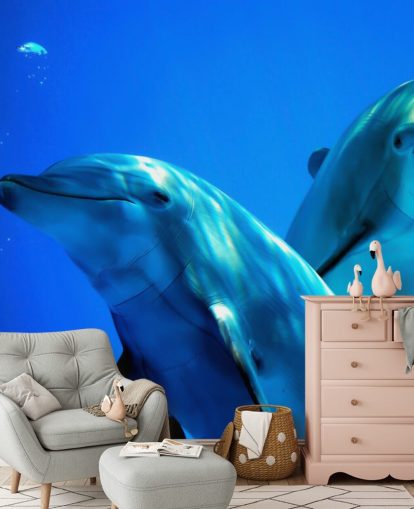 Two Dolphin Friends Smiling at Camera Wall Mural