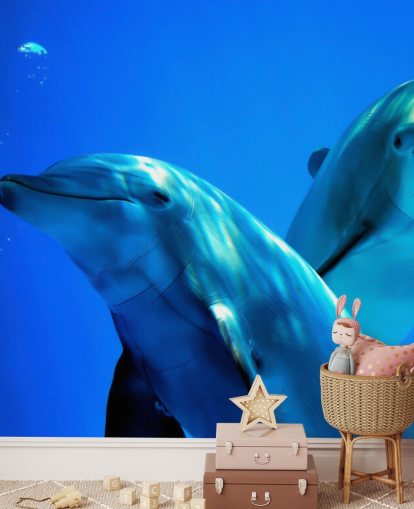 Décoration murale deux amis dauphins souriant à la caméra