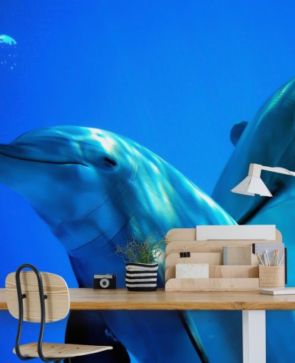 Two Dolphin Friends Smiling at Camera Wall Mural Two Dolphin Friends Smiling at Camera Wall Mural