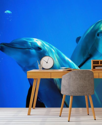 Mural de pared Dos amigos delfines sonriendo a cámara