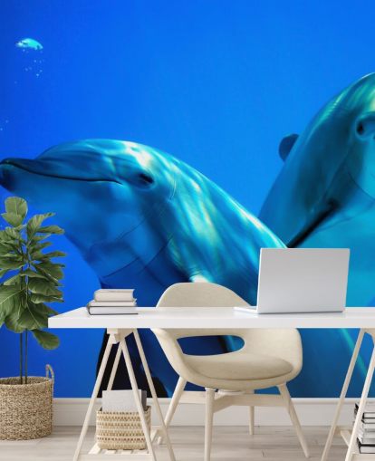Decorazione murale con due delfini che sorridono alla telecamera Decorazione murale con due delfini che sorridono alla telecamera