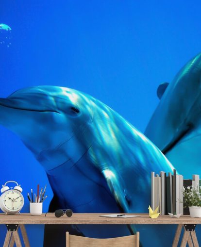 Decorazione murale con due delfini che sorridono alla telecamera