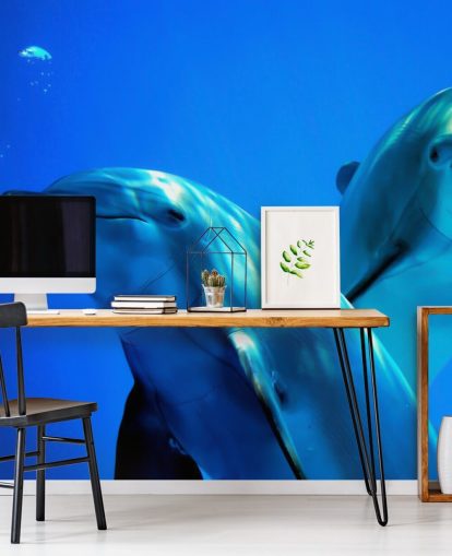 Decorazione murale con due delfini che sorridono alla telecamera Decorazione murale con due delfini che sorridono alla telecamera