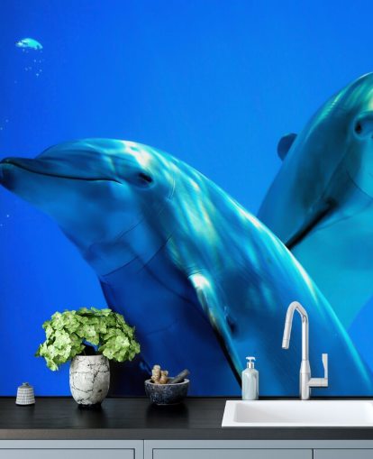 Two Dolphin Friends Smiling at Camera Wall Mural