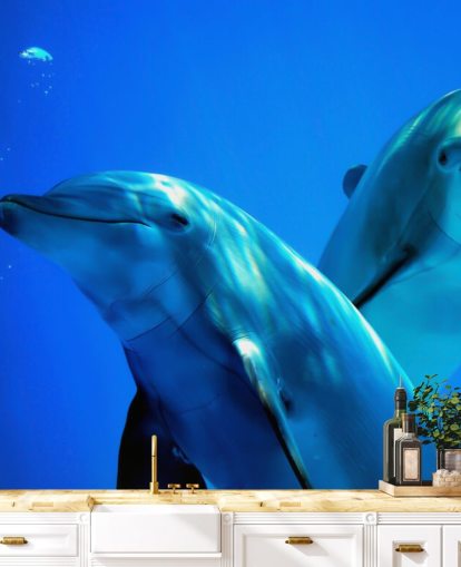 To Dolphin Venner smilende på kamera veggmaleri To Dolphin Venner smilende på kamera veggmaleri