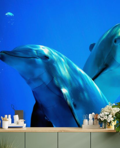 Décoration murale deux amis dauphins souriant à la caméra
