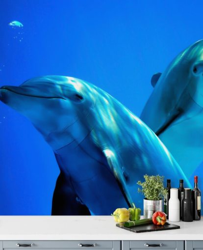 To delfinvenner smilende og kamera vægmaleri