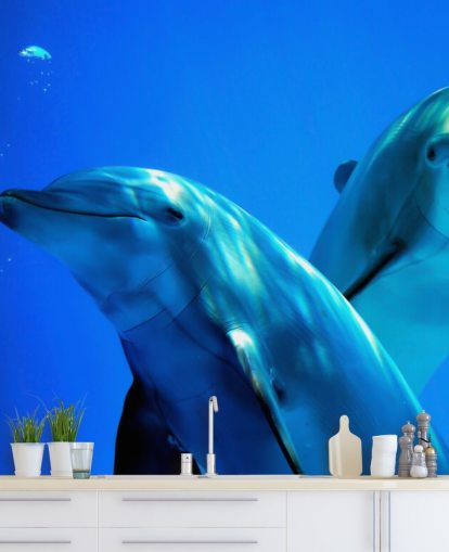 Two Dolphin Friends Smiling at Camera Wall Mural
