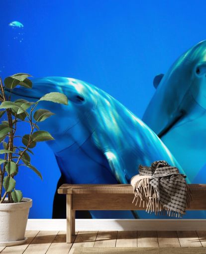 Two Dolphin Friends Smiling at Camera Wall Mural