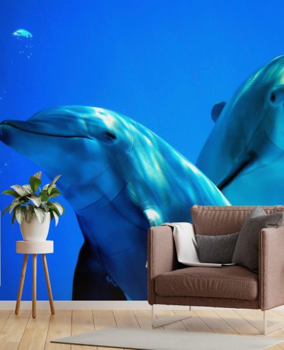 Two Dolphin Friends Smiling at Camera Wall Mural