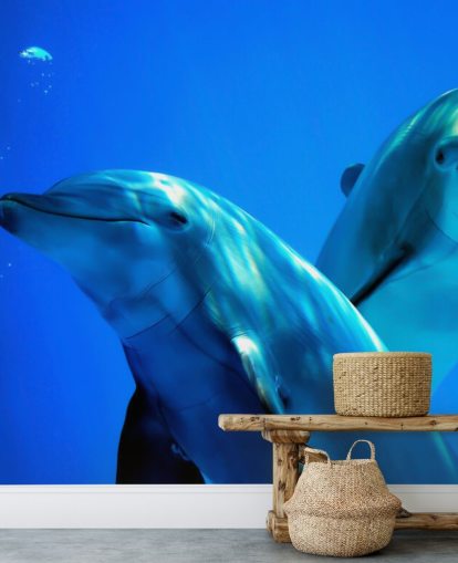 Two Dolphin Friends Smiling at Camera Wall Mural