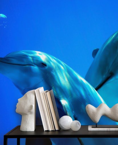 Two Dolphin Friends Smiling at Camera Wall Mural