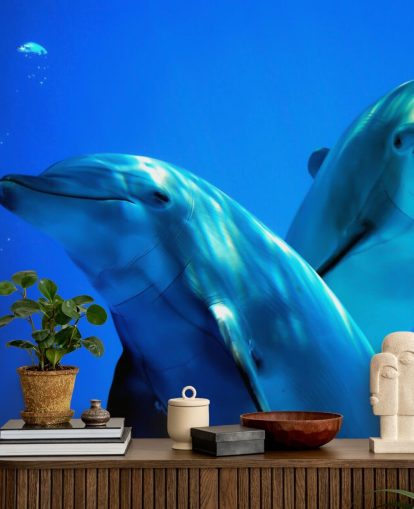 Two Dolphin Friends Smiling at Camera Wall Mural