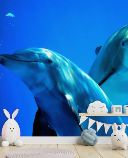 Two Dolphin Friends Smiling at Camera Wall Mural