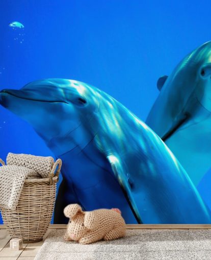 Zwei Delfinfreunde lächeln in die Kamera Fototapete