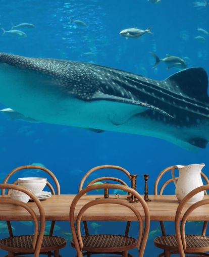 Whale Shark Bakgrund